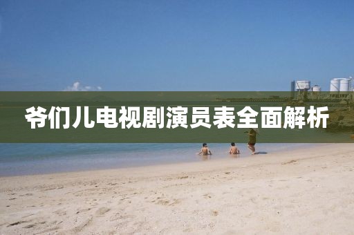 爷们儿电视剧演员表全面解析