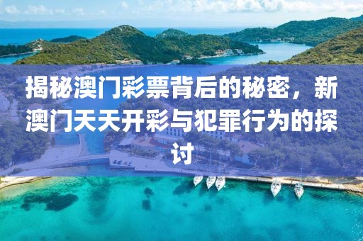 揭秘澳门彩票背后的秘密，新澳门天天开彩与犯罪行为的探讨