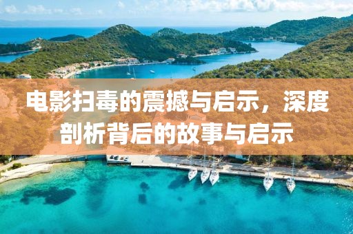 电影扫毒的震撼与启示，深度剖析背后的故事与启示