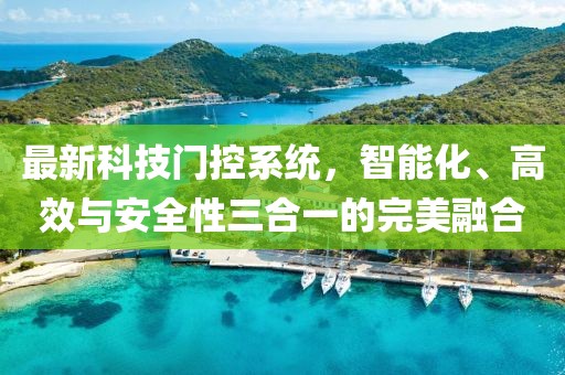 最新科技门控系统，智能化、高效与安全性三合一的完美融合