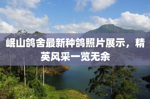 岷山鸽舍最新种鸽照片展示，精英风采一览无余