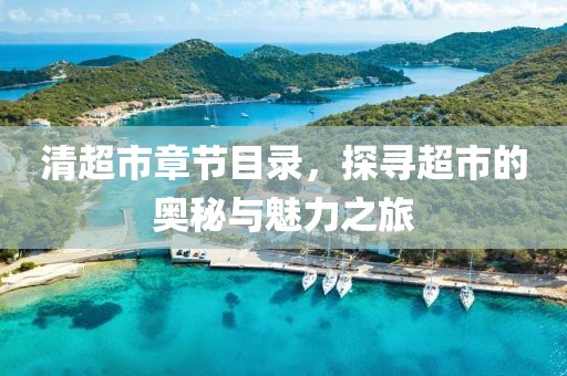 清超市章节目录，探寻超市的奥秘与魅力之旅