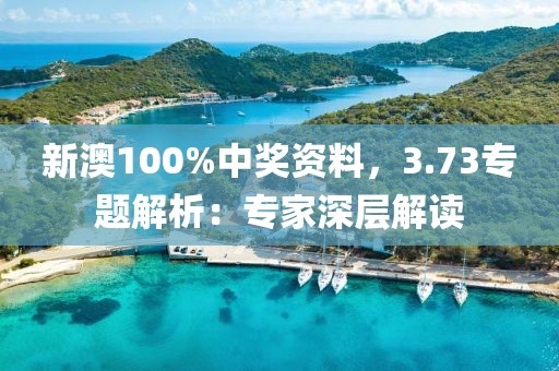 新澳100%中奖资料，3.73专题解析：专家深层解读