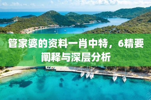 管家婆的资料一肖中特，6精要阐释与深层分析