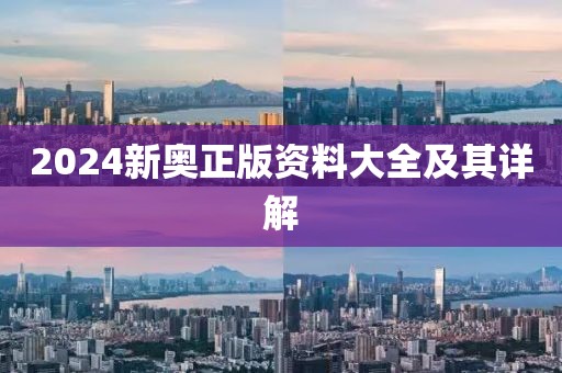 2024新奥正版资料大全及其详解