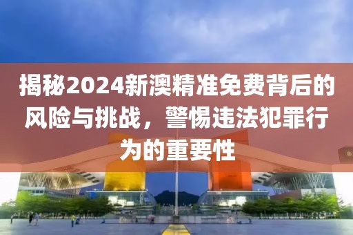 揭秘2024新澳精准免费背后的风险与挑战，警惕违法犯罪行为的重要性