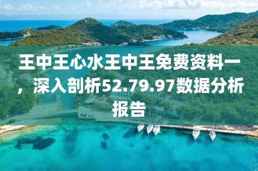 王中王心水王中王免费资料一，深入剖析52.79.97数据分析报告