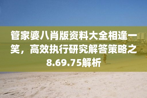 管家婆八肖版资料大全相逢一笑，高效执行研究解答策略之8.69.75解析