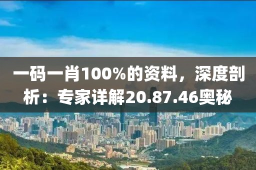 一码一肖100%的资料，深度剖析：专家详解20.87.46奥秘