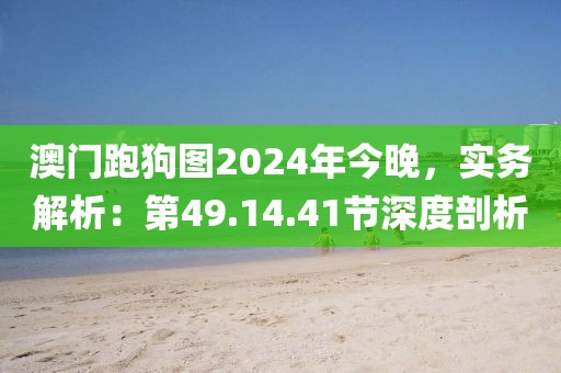 澳门跑狗图2024年今晚，实务解析：第49.14.41节深度剖析