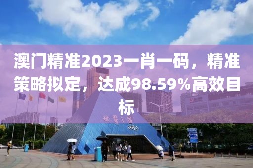 澳门精准2023一肖一码，精准策略拟定，达成98.59%高效目标