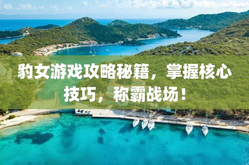 豹女游戏攻略秘籍，掌握核心技巧，称霸战场！