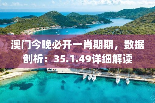 澳门今晚必开一肖期期，数据剖析：35.1.49详细解读
