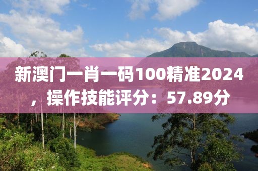 新澳门一肖一码100精准2024，操作技能评分：57.89分