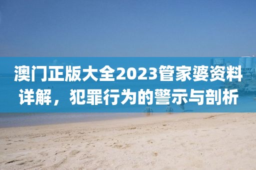 澳门正版大全2023管家婆资料详解，犯罪行为的警示与剖析