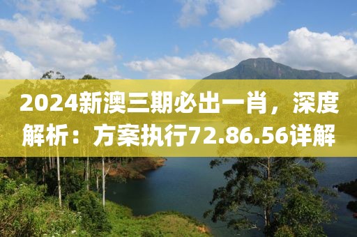 2024新澳三期必出一肖，深度解析：方案执行72.86.56详解