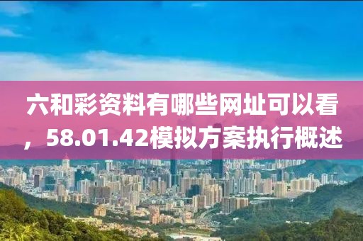 六和彩资料有哪些网址可以看，58.01.42模拟方案执行概述