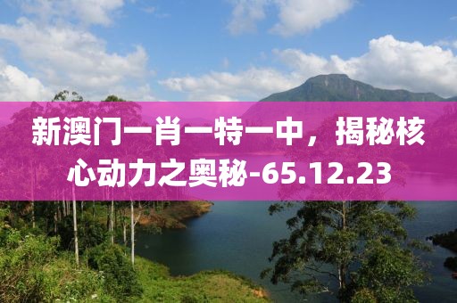 新澳门一肖一特一中，揭秘核心动力之奥秘-65.12.23