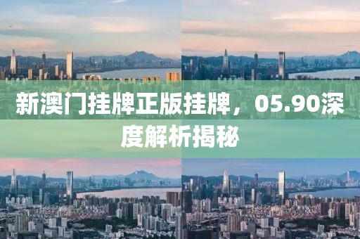 新澳门挂牌正版挂牌，05.90深度解析揭秘