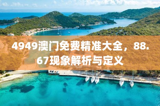 4949澳门免费精准大全，88.67现象解析与定义