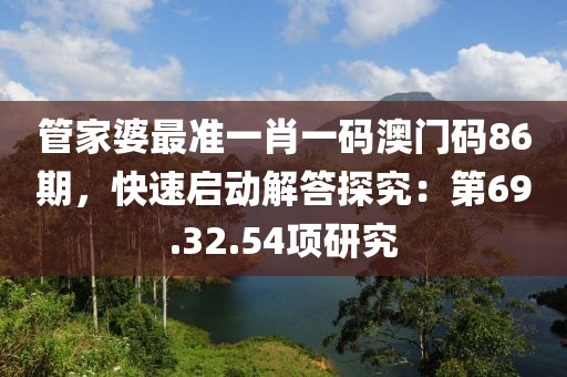 管家婆最准一肖一码澳门码86期，快速启动解答探究：第69.32.54项研究