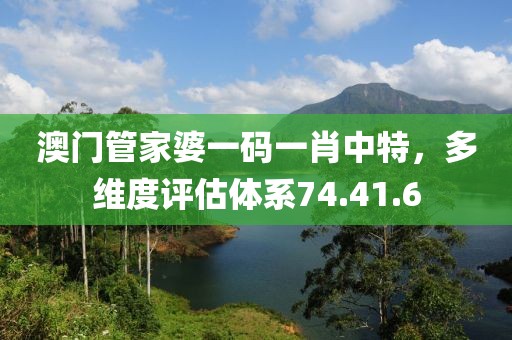 澳门管家婆一码一肖中特，多维度评估体系74.41.6