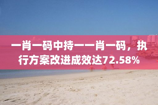 一肖一码中持一一肖一码，执行方案改进成效达72.58%