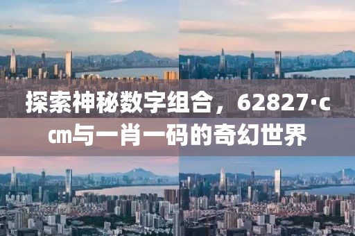 探索神秘数字组合，62827·c㎝与一肖一码的奇幻世界