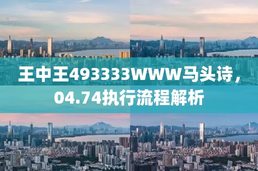 王中王493333WWW马头诗，04.74执行流程解析