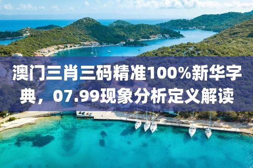 澳门三肖三码精准100%新华字典，07.99现象分析定义解读