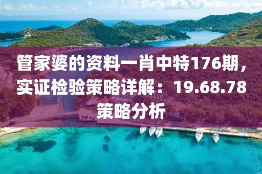 管家婆的资料一肖中特176期，实证检验策略详解：19.68.78策略分析