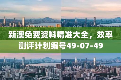 新澳免费资料精准大全，效率测评计划编号49-07-49