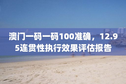澳门一码一码100准确，12.95连贯性执行效果评估报告