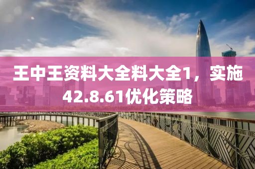 王中王资料大全料大全1，实施42.8.61优化策略