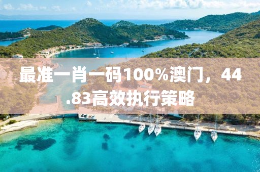 最准一肖一码100%澳门，44.83高效执行策略