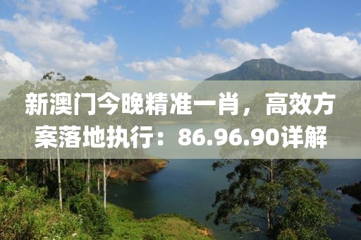 新澳门今晚精准一肖，高效方案落地执行：86.96.90详解