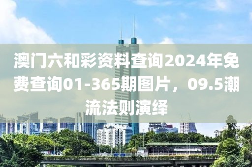 澳门六和彩资料查询2024年免费查询01-365期图片，09.5潮流法则演绎