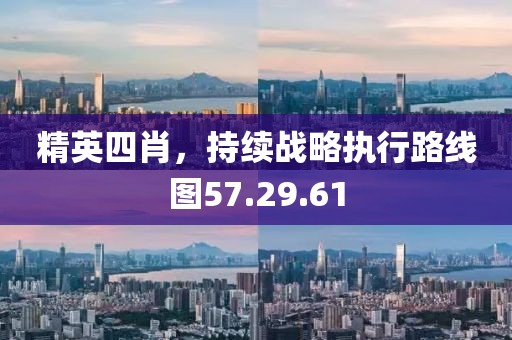 精英四肖，持续战略执行路线图57.29.61