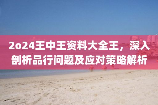 2o24王中王资料大全王，深入剖析品行问题及应对策略解析