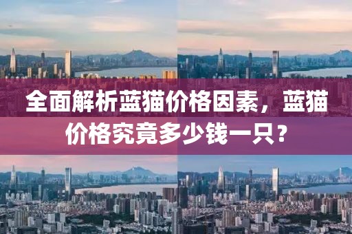全面解析蓝猫价格因素，蓝猫价格究竟多少钱一只？