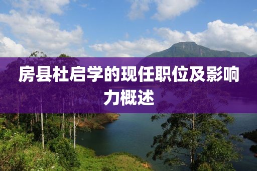 房县杜启学的现任职位及影响力概述