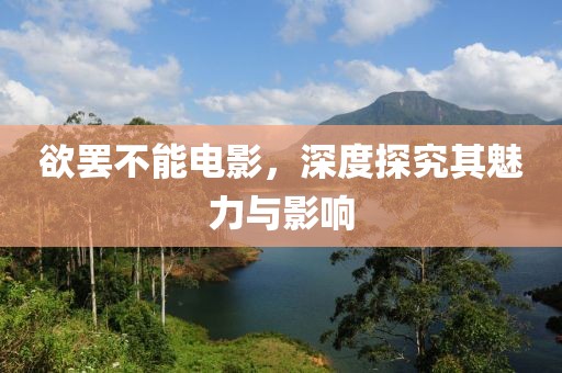 欲罢不能电影，深度探究其魅力与影响