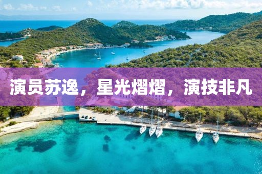 演员苏逸，星光熠熠，演技非凡