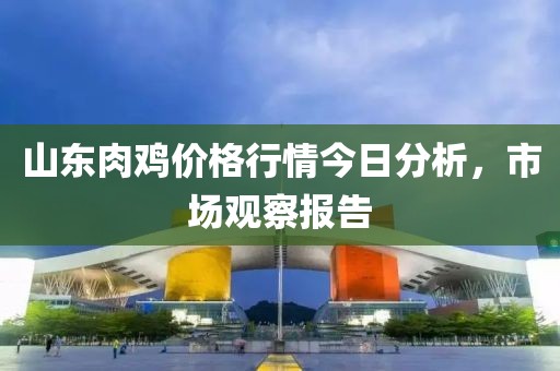 山东肉鸡价格行情今日分析，市场观察报告