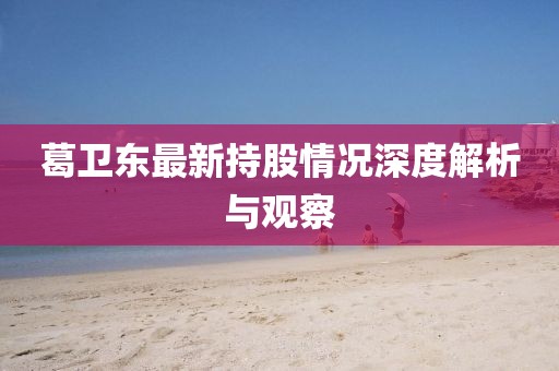 葛卫东最新持股情况深度解析与观察