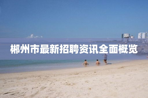 郴州市最新招聘资讯全面概览