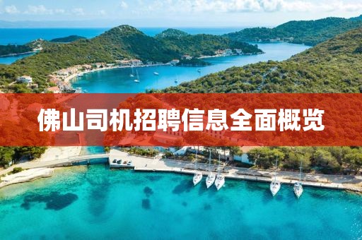 佛山司机招聘信息全面概览
