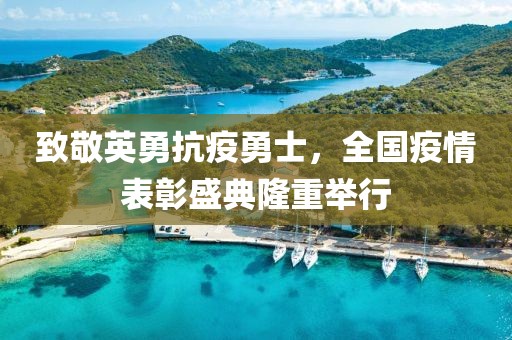 致敬英勇抗疫勇士，全国疫情表彰盛典隆重举行