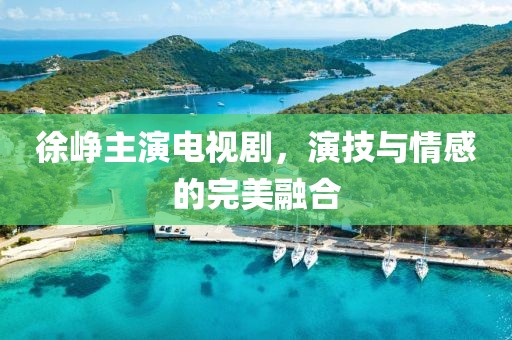 徐峥主演电视剧，演技与情感的完美融合