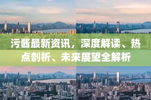 污酱最新资讯，深度解读、热点剖析、未来展望全解析